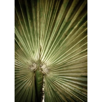 Quadro Personalizado - Casa Mais- Palmeira - Moldura Dourada- 90x60 cm