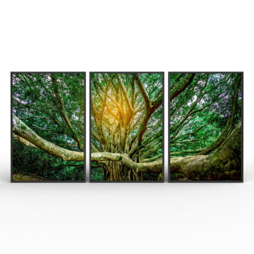 Kit 3 quadros retangulares - Copa da grande árvore