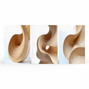 Kit 3 quadros retangulares - Trio Curvas Abstratas