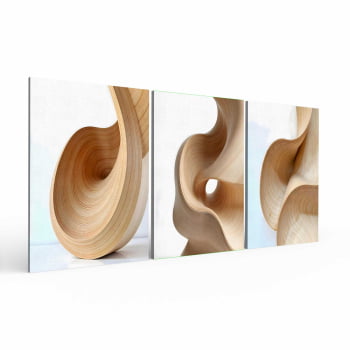 Kit 3 quadros retangulares - Trio Curvas Abstratas