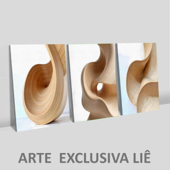 Kit 3 quadros retangulares - Trio Curvas Abstratas