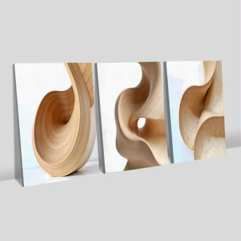Kit 3 quadros retangulares - Trio Curvas Abstratas