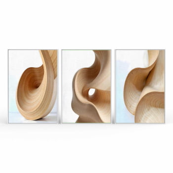 Kit 3 quadros retangulares - Trio Curvas Abstratas