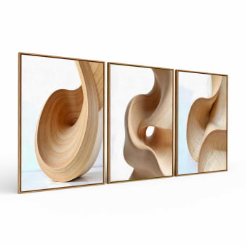 Kit 3 quadros retangulares - Trio Curvas Abstratas