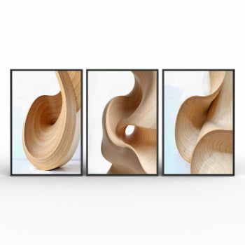 Kit 3 quadros retangulares - Trio Curvas Abstratas