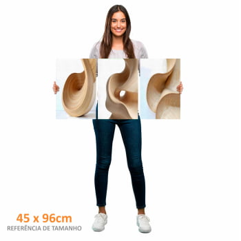 Kit 3 quadros retangulares - Trio Curvas Abstratas