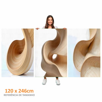 Kit 3 quadros retangulares - Trio Curvas Abstratas