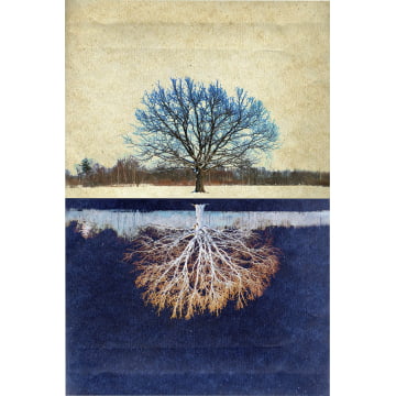 Quadro Retangular  -  Reflexo da árvore azul