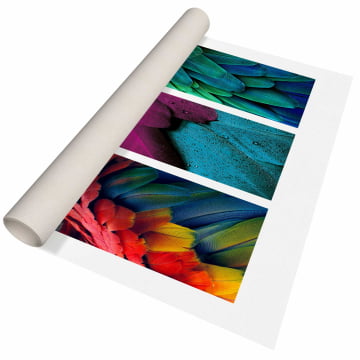 Kit 3 quadros retangulares - Penas, Folhas e Cores