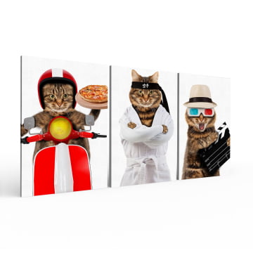 Kit 3 quadros retangulares - Trio de Gatos divertidos