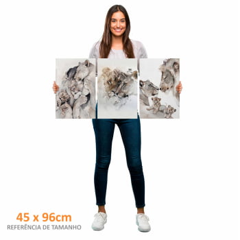 Kit 3 quadros retangulares - Trio Leão em Família