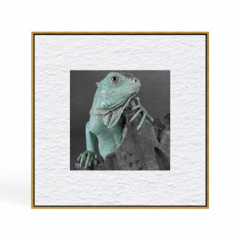 Quadro quadrado - Iguana em Close