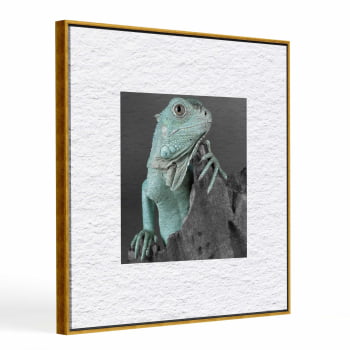 Quadro quadrado - Iguana em Close