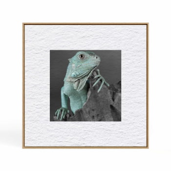 Quadro quadrado - Iguana em Close