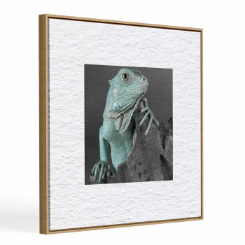 Quadro quadrado - Iguana em Close