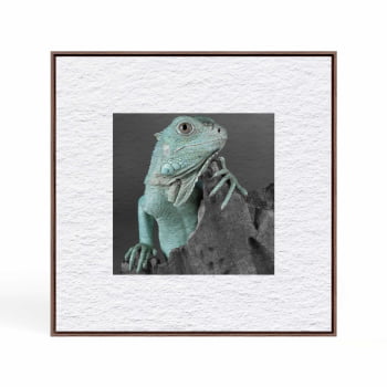 Quadro quadrado - Iguana em Close