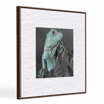 Quadro quadrado - Iguana em Close