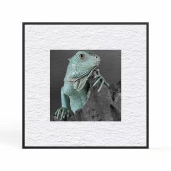 Quadro quadrado - Iguana em Close