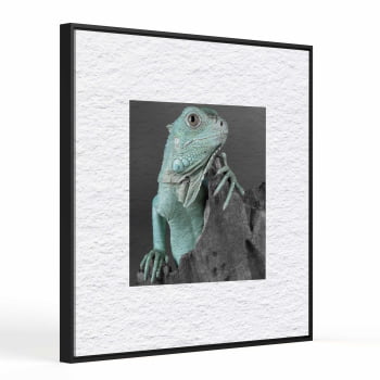 Quadro quadrado - Iguana em Close