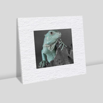 Quadro quadrado - Iguana em Close