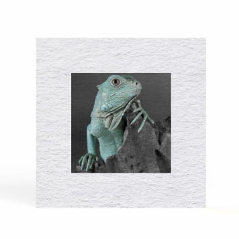 Quadro quadrado - Iguana em Close