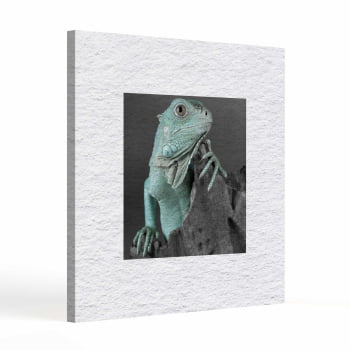 Quadro quadrado - Iguana em Close