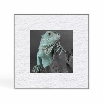 Quadro quadrado - Iguana em Close