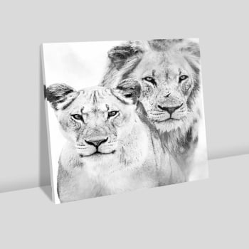 Quadro quadrado - Leão e leoa P&B