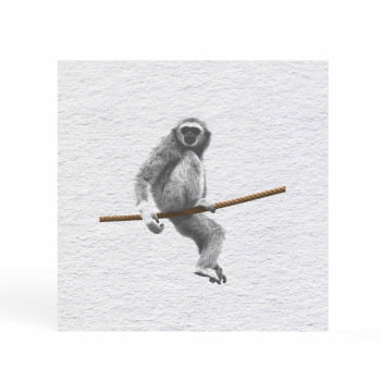 Quadro quadrado - Macaco na corda