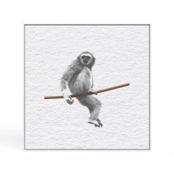 Quadro quadrado - Macaco na corda