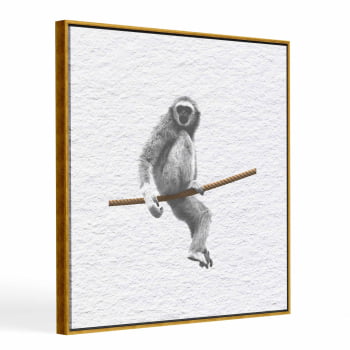 Quadro quadrado - Macaco na corda