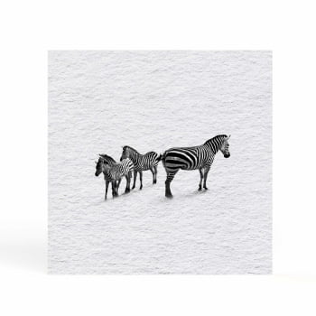 Quadro quadrado - Zebras em Fluxo