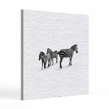 Quadro quadrado - Zebras em Fluxo