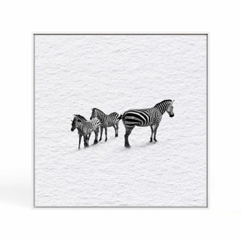 Quadro quadrado - Zebras em Fluxo