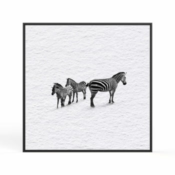 Quadro quadrado - Zebras em Fluxo