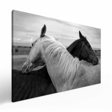 Quadro Retangular  - Black and white horses