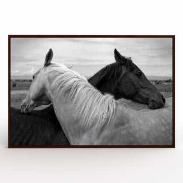 Quadro Retangular  - Black and white horses