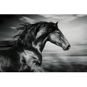 Quadro Retangular  - Dark horse