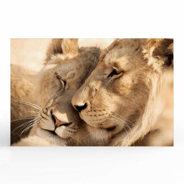 Quadro Retangular  - Leão e Leoa casal