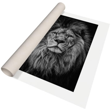 Quadro Retangular - Leão em preto e branco