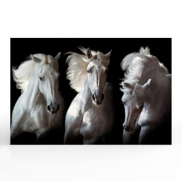 Quadro Retangular - Majestoso Cavalo Branco