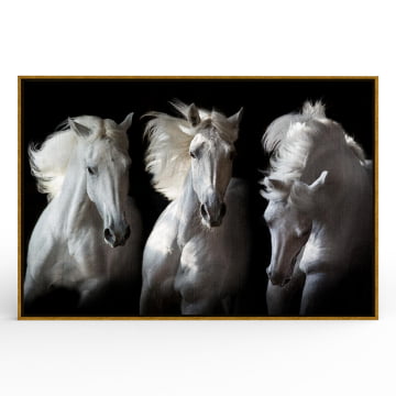 Quadro Retangular - Majestoso Cavalo Branco