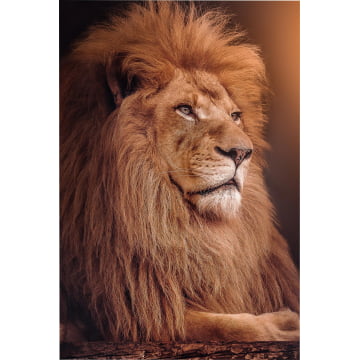 Quadro Retangular  - Rei Leão
