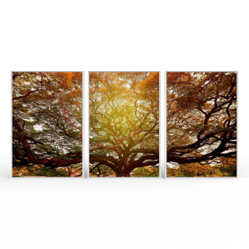 Kit 3 quadros retangulares - A Grande Árvore no Outono