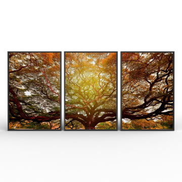 Kit 3 quadros retangulares - A Grande Árvore no Outono