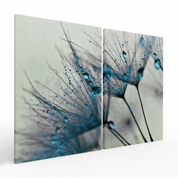 Kit 2 quadros retangulares - Dente-de-leão azul com orvalho