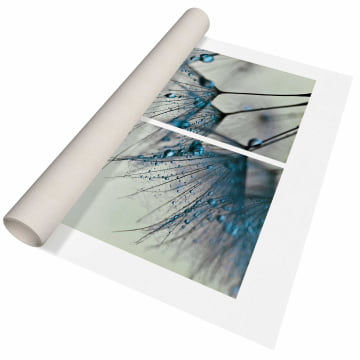 Kit 2 quadros retangulares - Dente-de-leão azul com orvalho