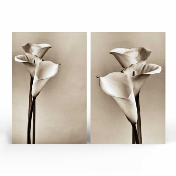 Kit 2 quadros retangulares - Duo copos-de-leite em preto e branco (pintura)