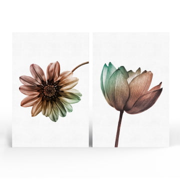 Kit 2 quadros retangulares - Duo Flores Multicolor