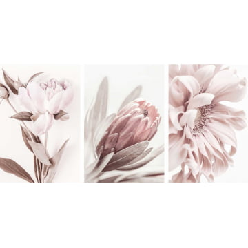 Kit 3 Quadros Retangulares - Trio de flores rosa pastel
